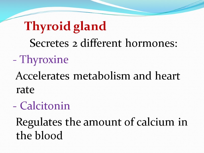 Thyroid gland        Secretes 2 different hormones: 